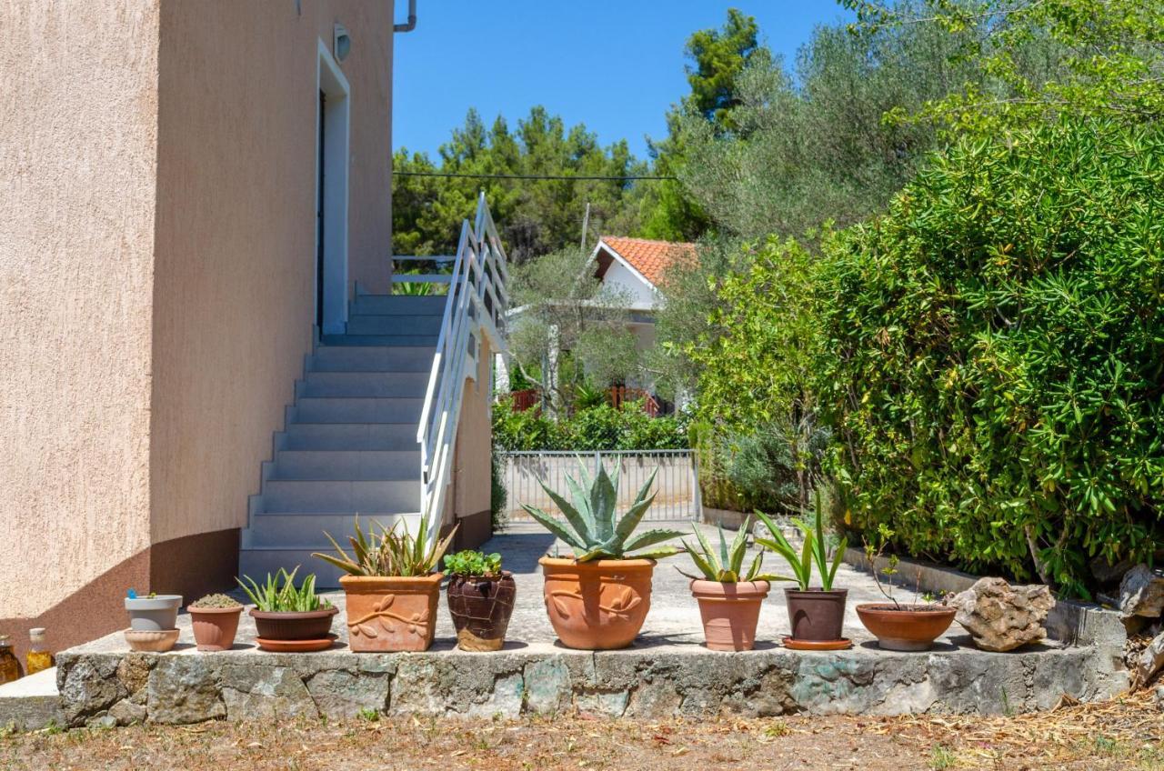Apartment Tanja Vela Luka Eksteriør billede