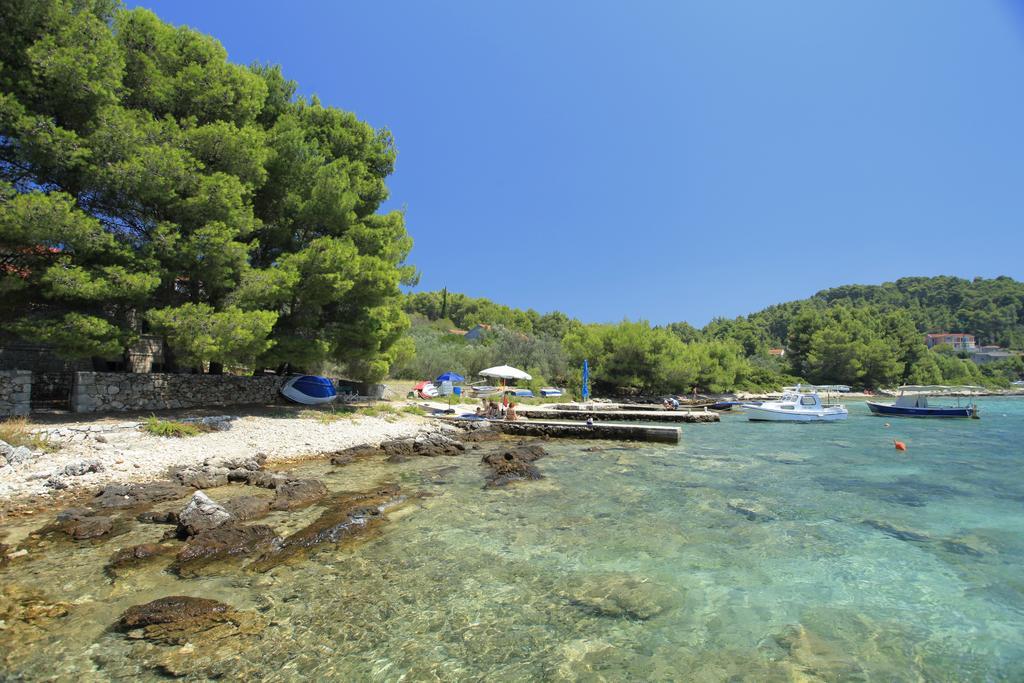 Apartment Tanja Vela Luka Værelse billede